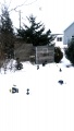 50 Yard Range