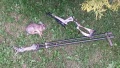Last Bunny With Trigger Stick and Diana Chaser .22 10 yd.
