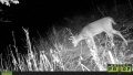 HUNT0029