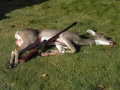 RealHunting