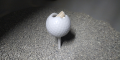 50 Yard Golfball