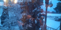 It's Winter Again