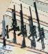 My rifles